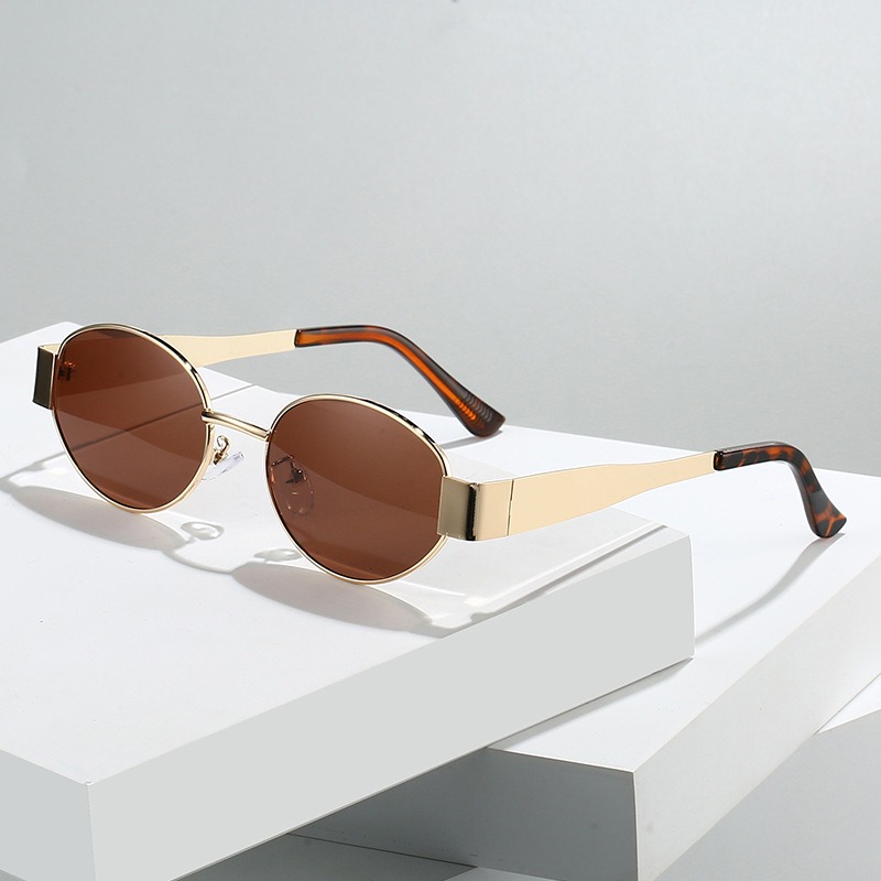 New Oval Sunglasses for Women  - Metal Photo Panel 리뷰 및 가격