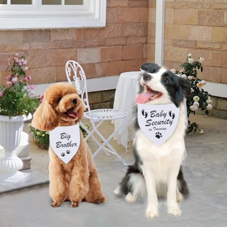 Blank Dog Bandanas White X 1PC - Bandana Blank White 리뷰 및 가격